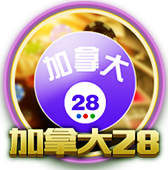 28预测网
